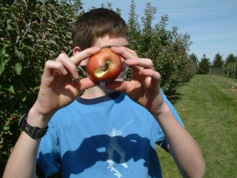 Stake through apple.