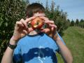 Stake through apple.